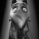 Illustration for article titled Upcoming Science Fiction and Fantasy Movies That Arent Remakes, Sequels or Prequels
